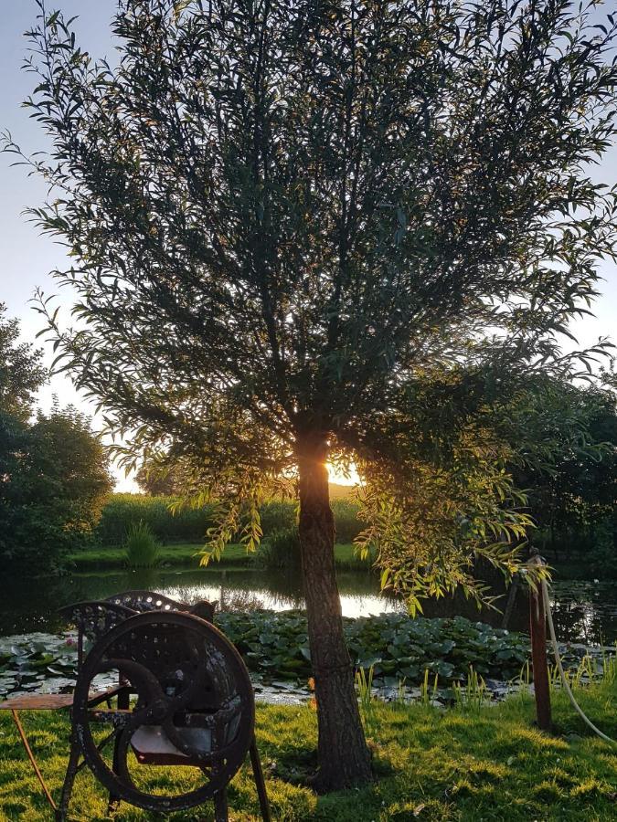 Op Ut Schoor Lägenhet Sint-Oedenrode Exteriör bild